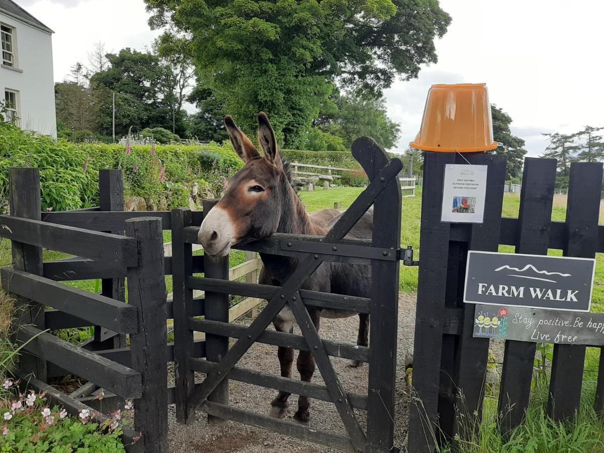 Abhainn Ri Farmhouse Blessington Zewnętrze zdjęcie