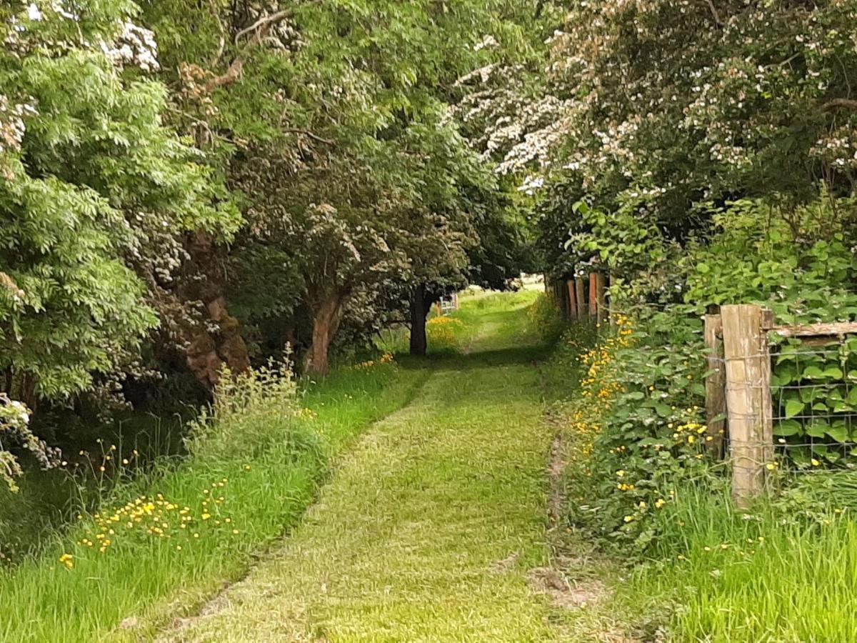 Abhainn Ri Farmhouse Blessington Zewnętrze zdjęcie