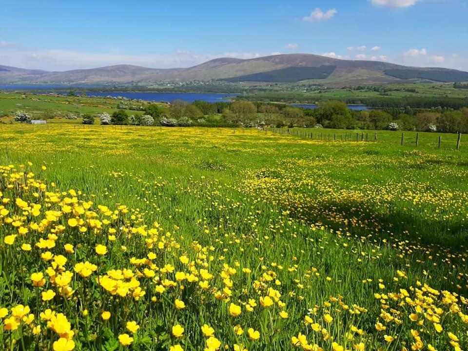 Abhainn Ri Farmhouse Blessington Zewnętrze zdjęcie