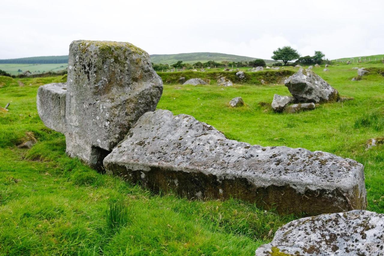 Abhainn Ri Farmhouse Blessington Zewnętrze zdjęcie