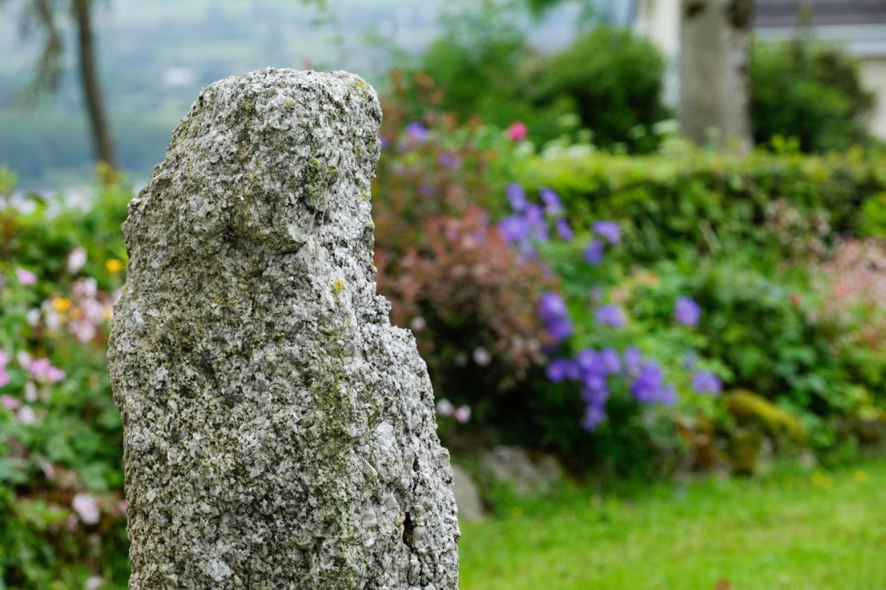 Abhainn Ri Farmhouse Blessington Zewnętrze zdjęcie