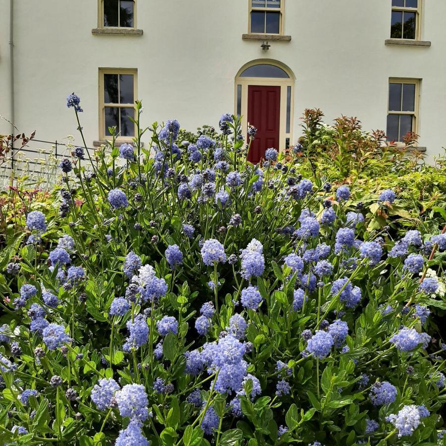 Abhainn Ri Farmhouse Blessington Zewnętrze zdjęcie