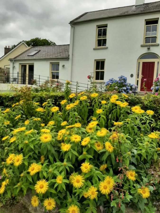 Abhainn Ri Farmhouse Blessington Zewnętrze zdjęcie