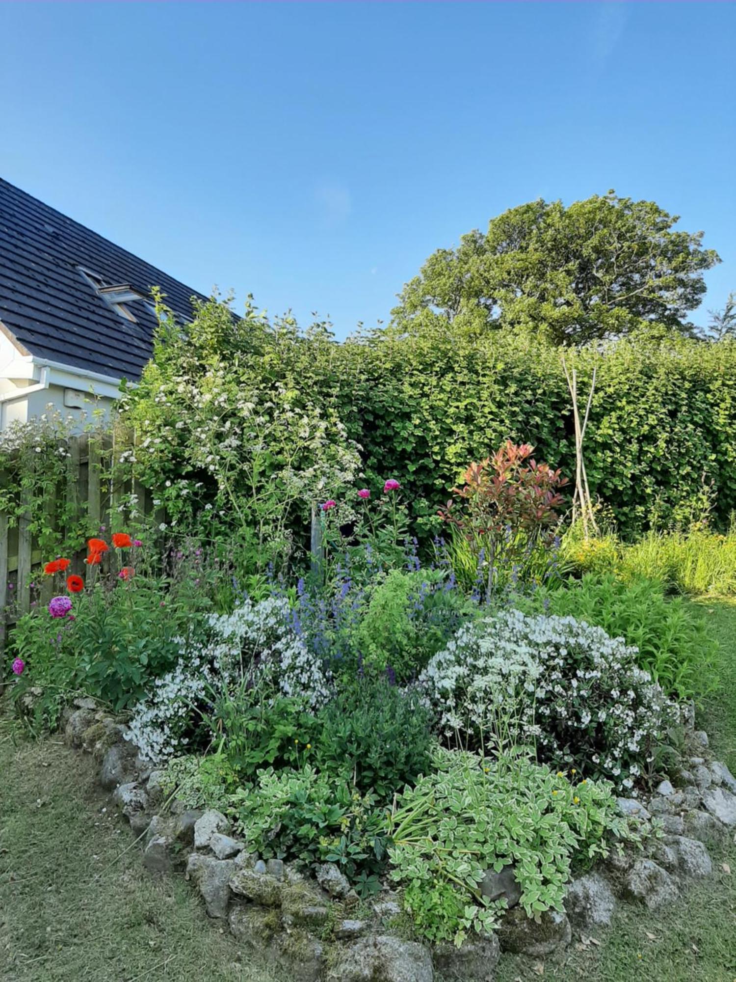 Abhainn Ri Farmhouse Blessington Zewnętrze zdjęcie