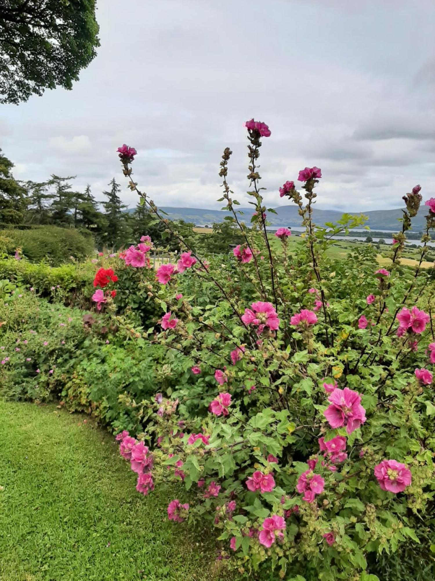 Abhainn Ri Farmhouse Blessington Zewnętrze zdjęcie