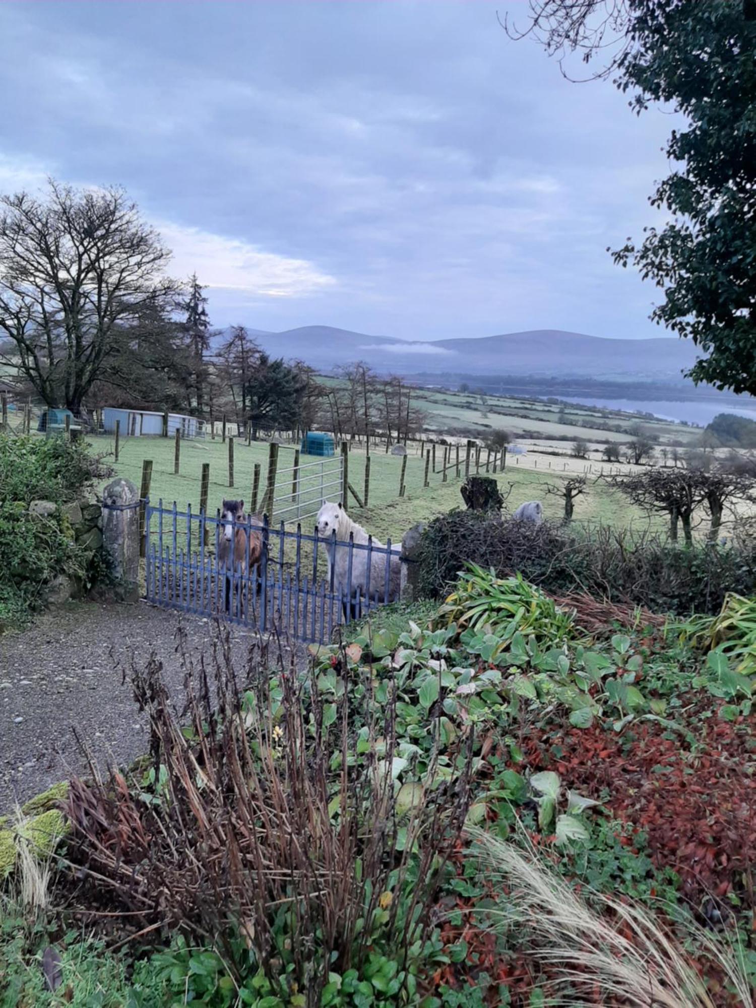 Abhainn Ri Farmhouse Blessington Zewnętrze zdjęcie