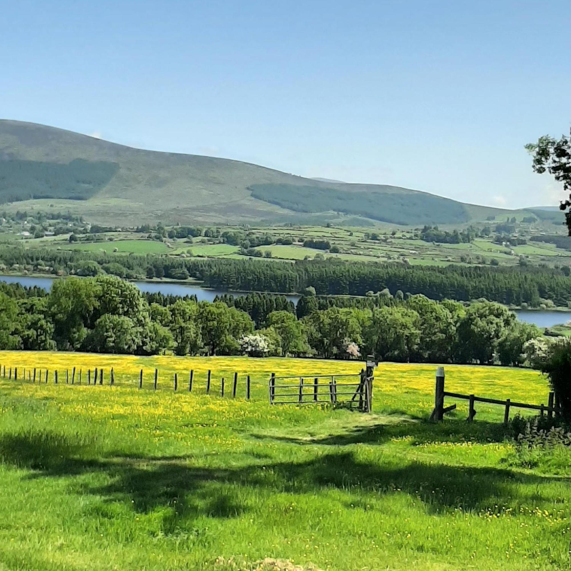 Abhainn Ri Farmhouse Blessington Zewnętrze zdjęcie