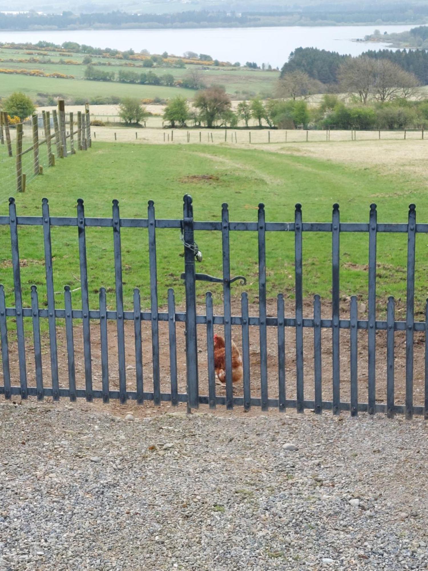 Abhainn Ri Farmhouse Blessington Zewnętrze zdjęcie