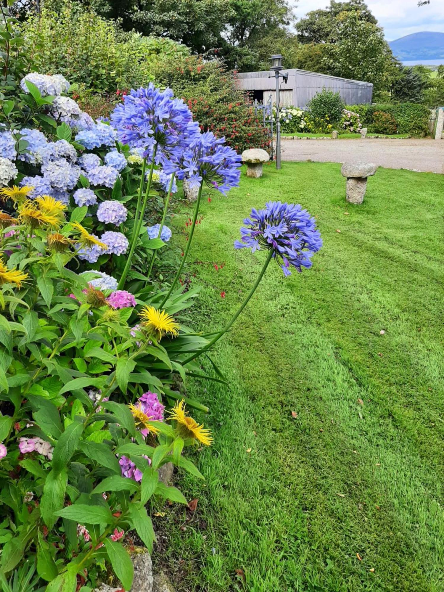 Abhainn Ri Farmhouse Blessington Zewnętrze zdjęcie