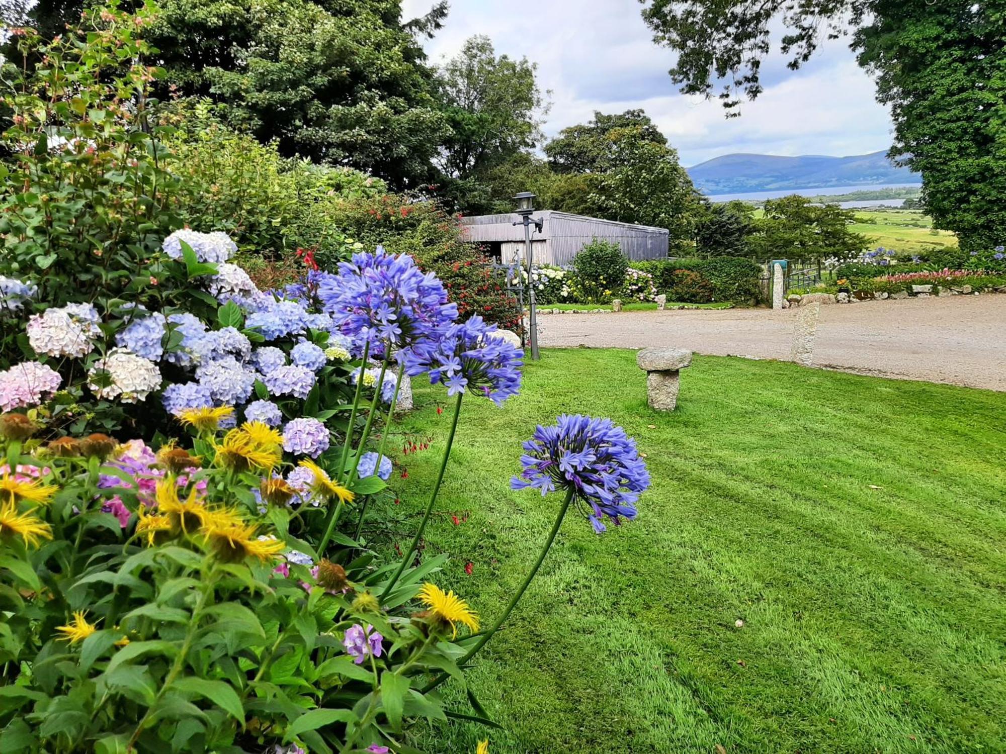 Abhainn Ri Farmhouse Blessington Zewnętrze zdjęcie