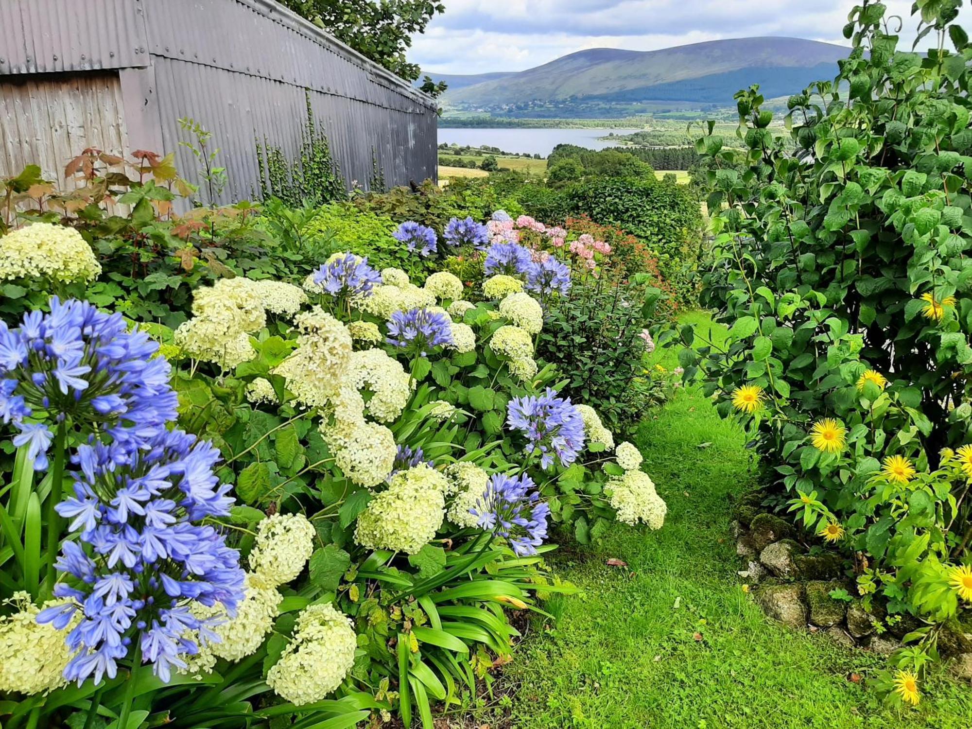 Abhainn Ri Farmhouse Blessington Zewnętrze zdjęcie